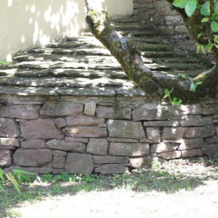 Gite L'Oustal Occitan A Saint-Juery Villa Exterior photo